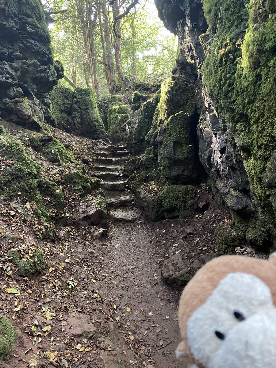 GpSmnky's tweet photo. Day trip to @PuzzlewoodFOD today.  Great sunny day on a random USA 🇺🇸 bank holiday as they call them here in the uk 🇬🇧 https://t.co/TuRpQIuu9v