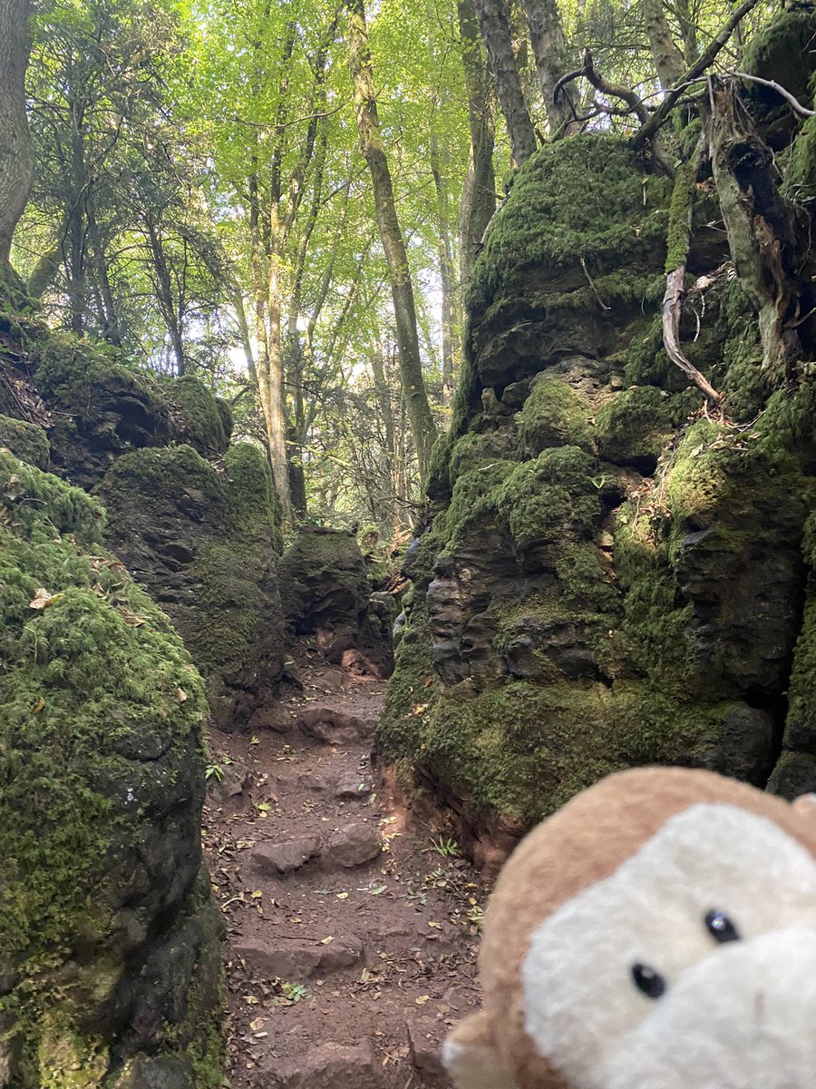 GpSmnky's tweet photo. Day trip to @PuzzlewoodFOD today.  Great sunny day on a random USA 🇺🇸 bank holiday as they call them here in the uk 🇬🇧 https://t.co/TuRpQIuu9v