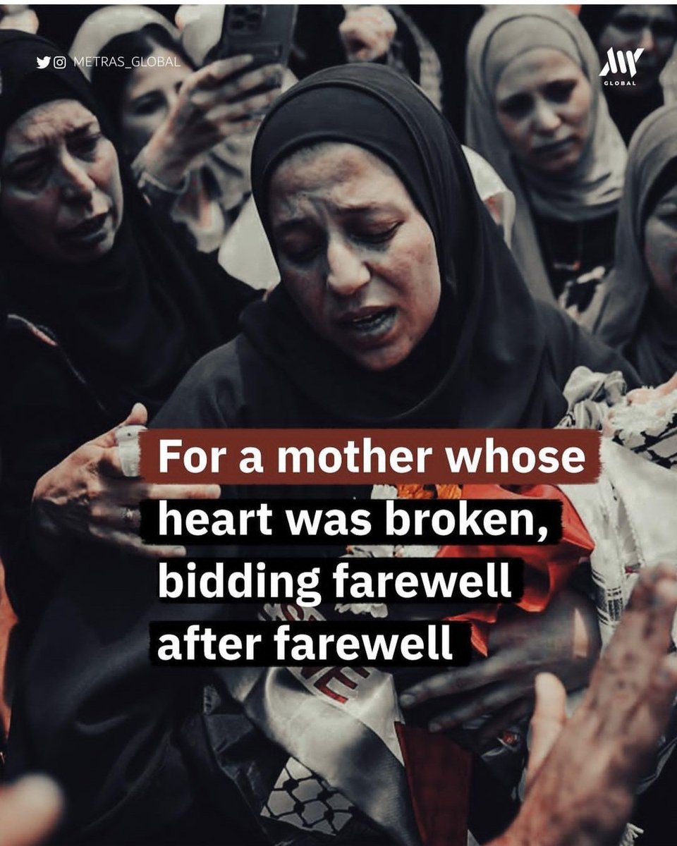 razanibrahim14's tweet photo. What are Palestinians fighting for ? 🇵🇸🇵🇸🇵🇸🇵🇸🇵🇸🇵🇸
 #GazaUnderAttack #FreePalastine #طوفان_القدس #فلسطين_المحتلة #Palestine #طوفان_الأقصى #غزه_تقاوم #فلسطين_حرة https://t.co/5kkeS4DUgo