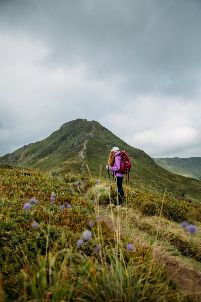 hellolaroux tweet media