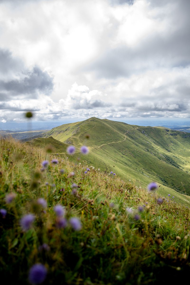 hellolaroux tweet media