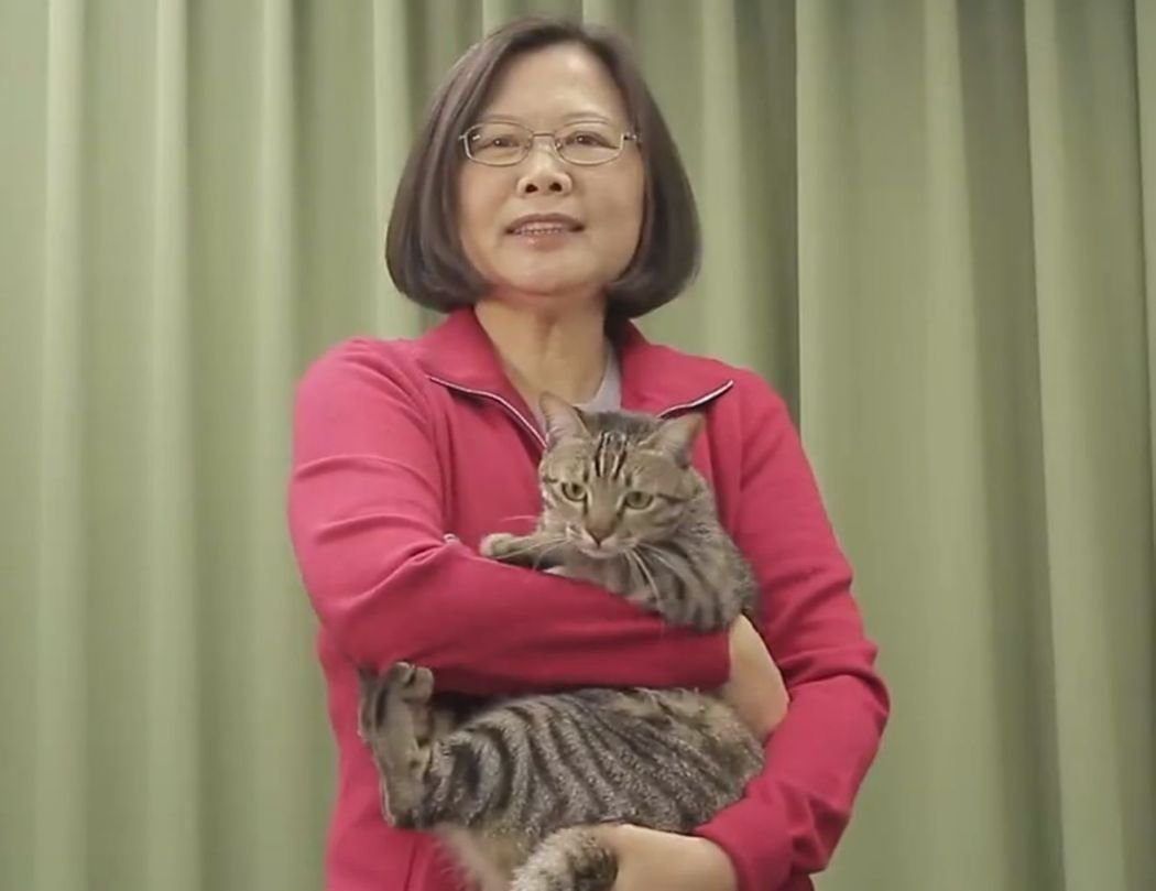 🐈 Katoshi Katamoto tweet media