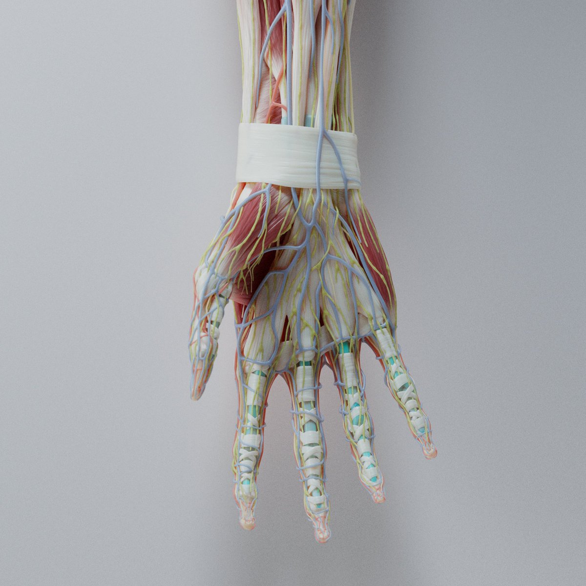 Neal Biggs tweet media