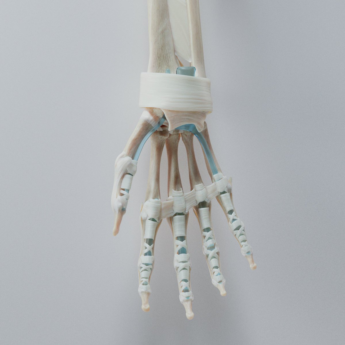 Neal Biggs tweet media