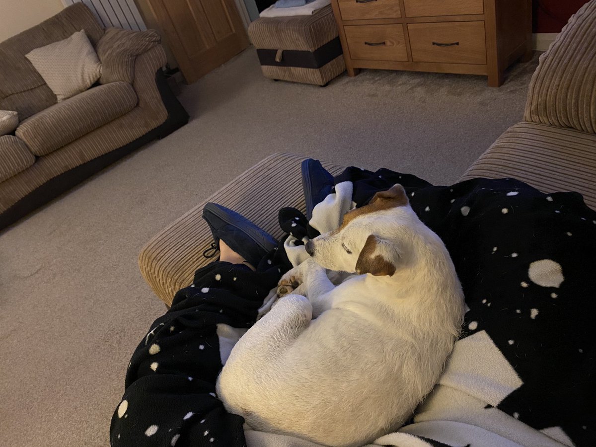 zoeprce's tweet photo. Bursting for a wee but #RuleOne is I can’t disturb the dog!!! #dogs #dogsoftwitter #dogsofx #JRT ##Terriers https://t.co/2uAHcq2Tbe