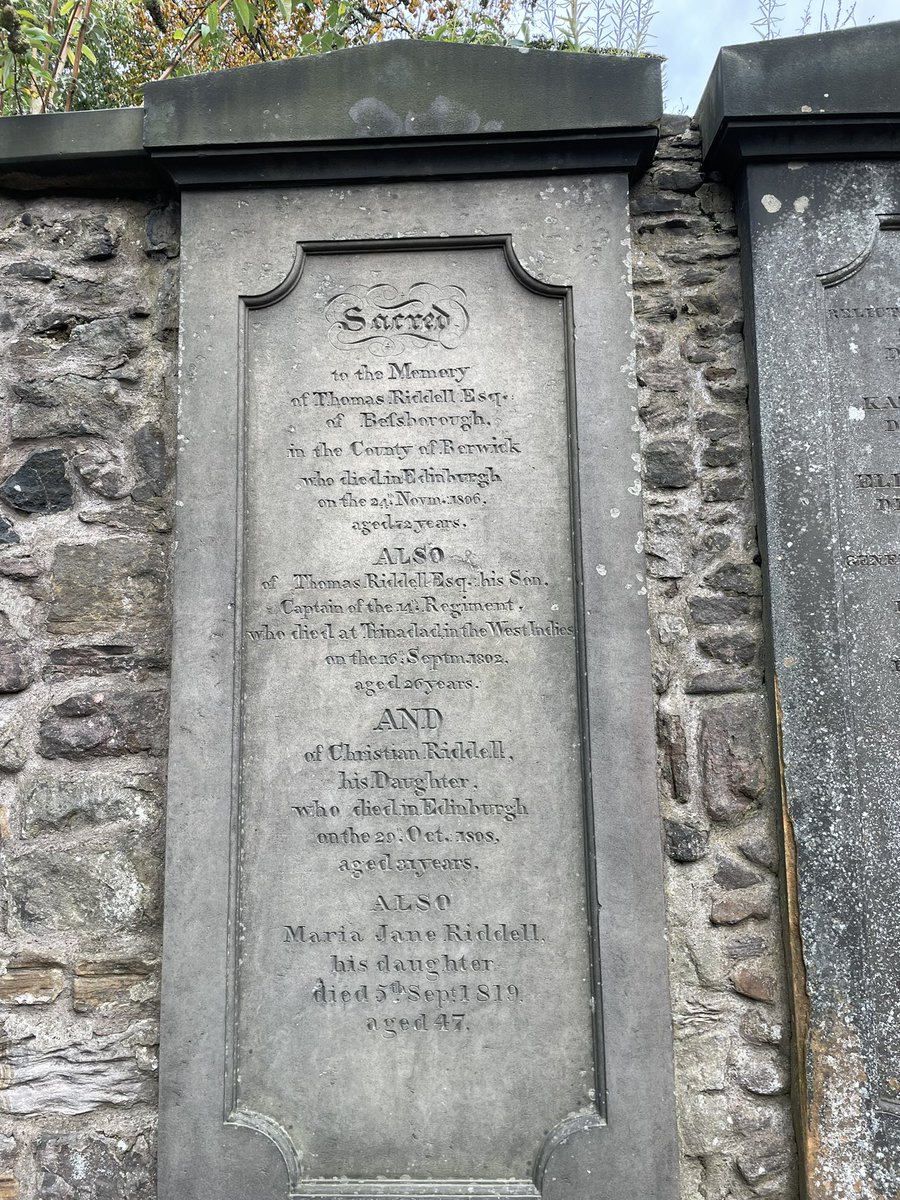 finzo🐡 tweet media