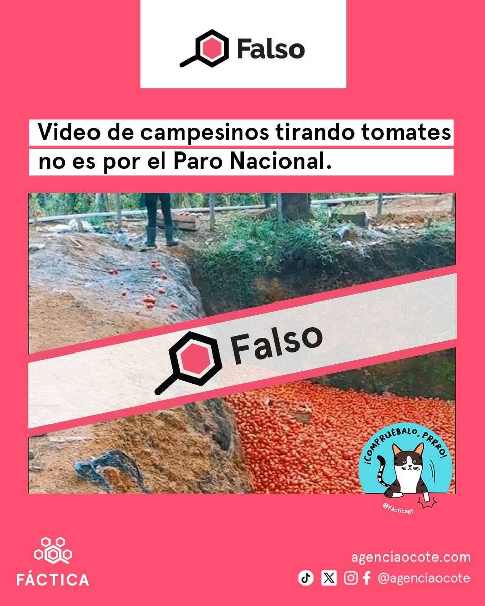 facticagt's tweet photo. 🔴Es #falso. El video de campesinos tirando tomates, publicado por Tele Diario en Canal 3,  no es por el #ParoNacionalIndefinido.

✍️ @amaldonadogt https://t.co/WcgpnYup1S