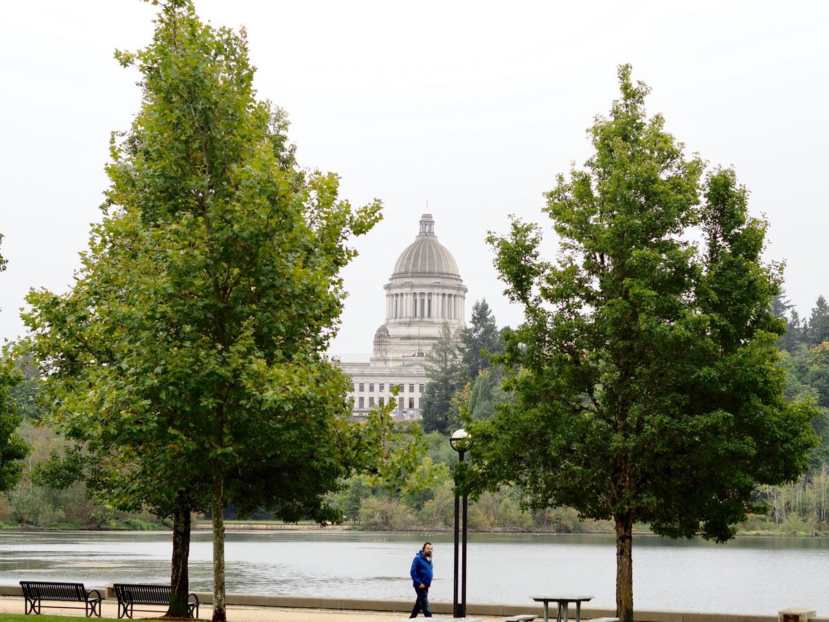 seth vincent tweet media