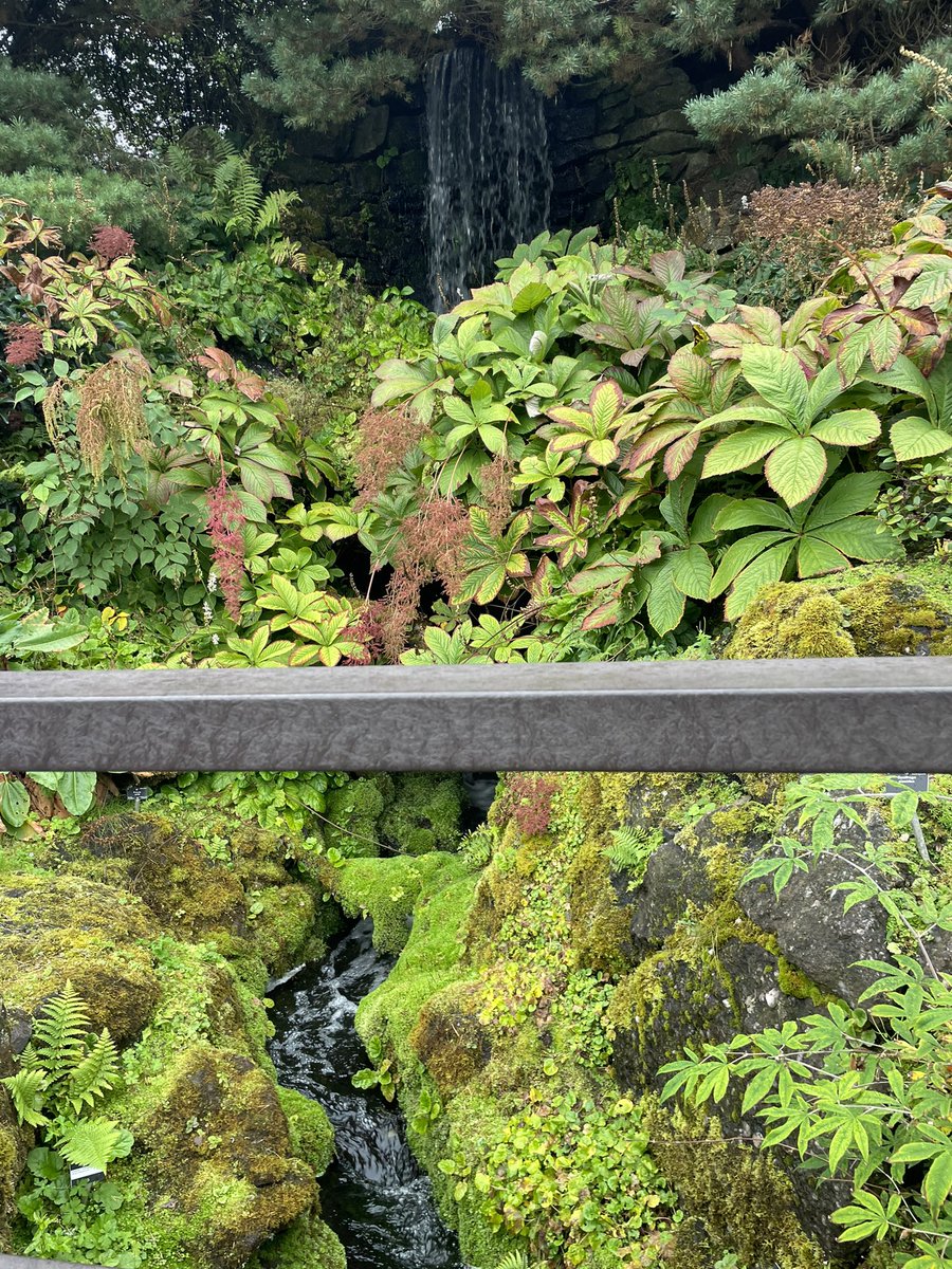 finzo🐡 tweet media