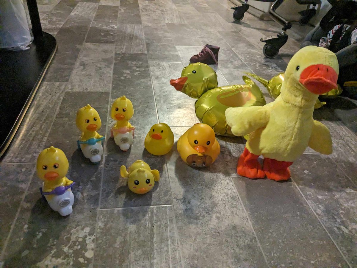 davidsducks's tweet photo. The Duck Gang 🐥🐤🦆
#ducklife #duckgang #ducktoys #duckparty #davidsducks https://t.co/nP0CAGOg50