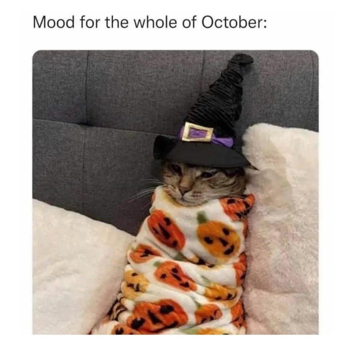 Hope everyone’s having a cozy long weekend! 🥰

Personally, I think the best way to spend the holiday Monday is to curl up on the couch and listen to the latest episode of The Spooky Hour 🤷🏻‍♀️ (link in bio).

#stayspooky friends 👻🔪💕