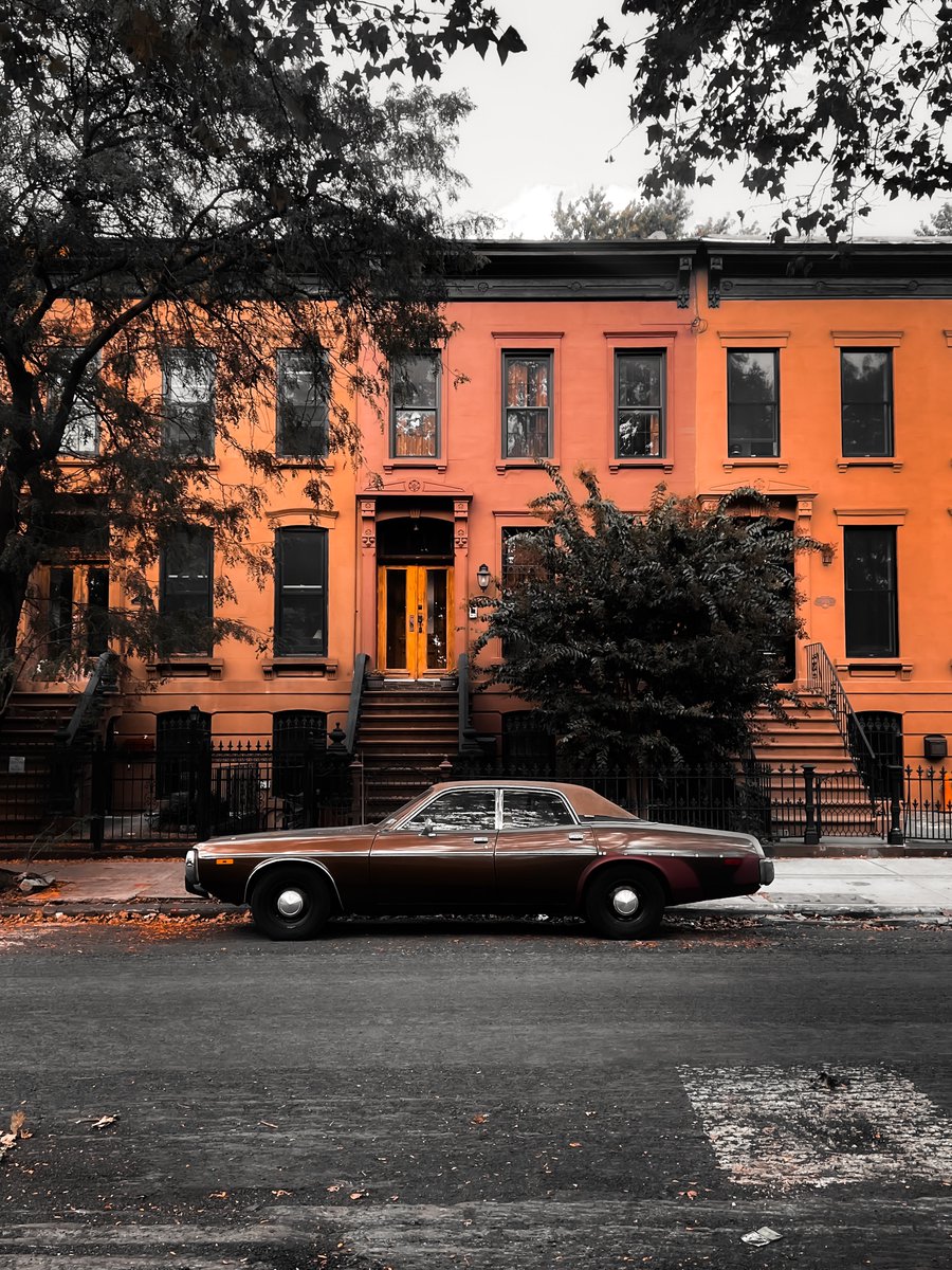 NICKSAYSGO's tweet photo. Shot this on my stroll earlier — a new favorite 📸 https://t.co/mBFUeRak0C