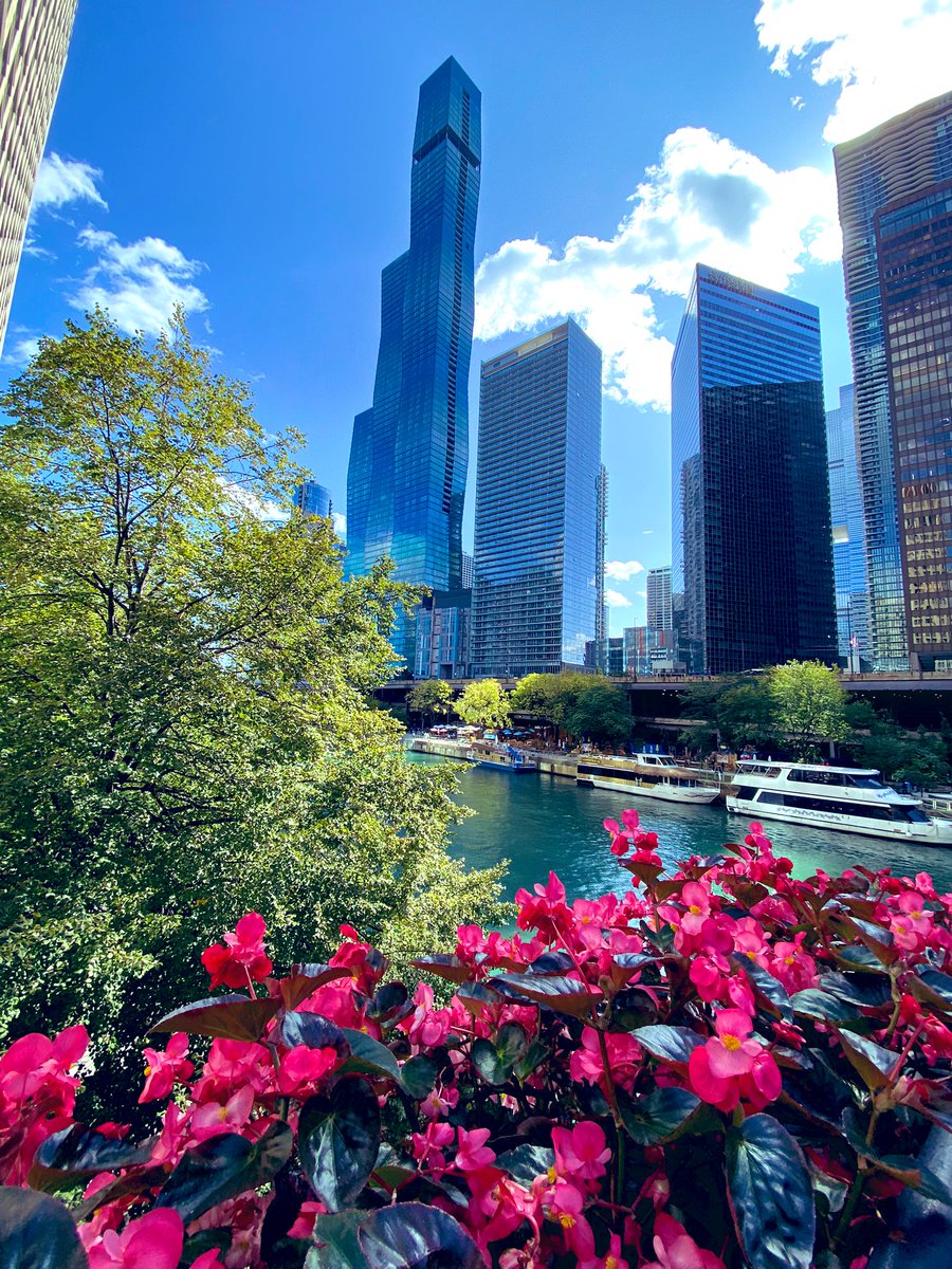 Celeste Wagner, MD tweet media