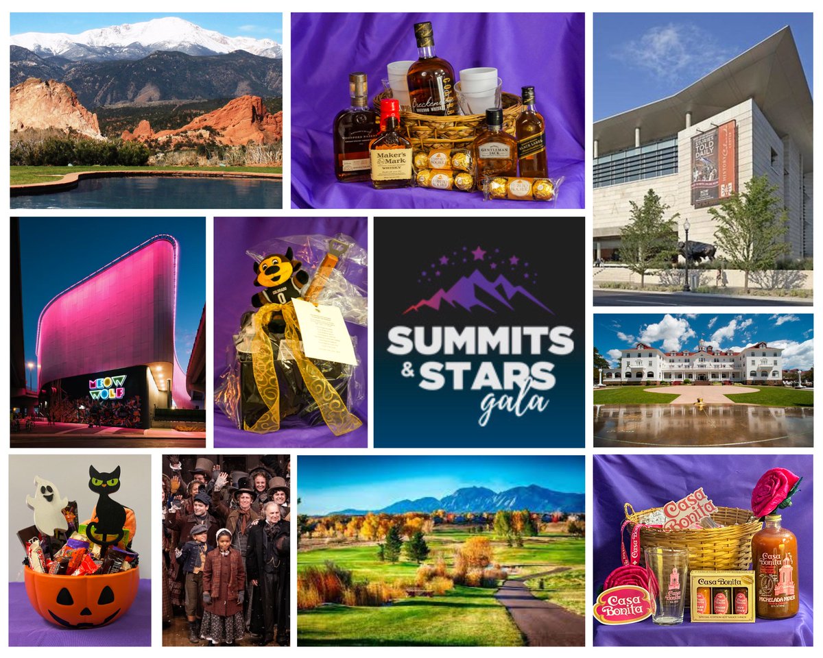 The 2023 Summits &amp; Stars Gala Silent Auction is now open! View and bid on fabulous gifts and experiences at  onecau.se/_392u51