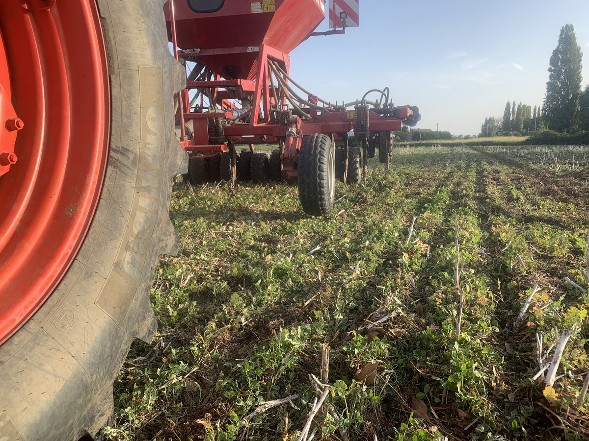 NotteauV's tweet photo. Début des semis de blé sous le soleil du Nord, en direct dans les repousses de colza et trèfle 🍀 https://t.co/BUoKJIr6hx