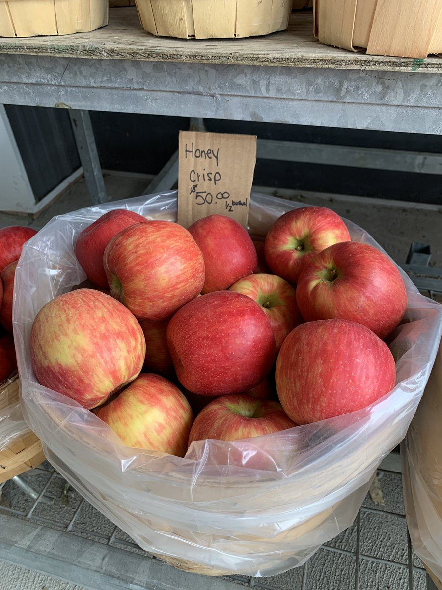 daleethompson's tweet image. $50 for half a barrel of apples.

I blame the Canadian Federal government 100% for this.

J/k... it's sold on the farm which grew them and it's a price they set entirely on their own... this is how capitalism works when people are willing to pay $50 for half a barrel of apples.