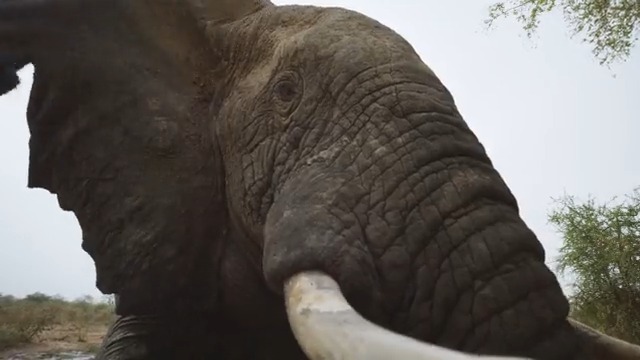 The greatest nature series ever is back.  #PlanetEarth3, narrated by Sir David Attenborough, premieres<a href="/tag/planetearth3"class="tags">#PlanetEarth3</a>