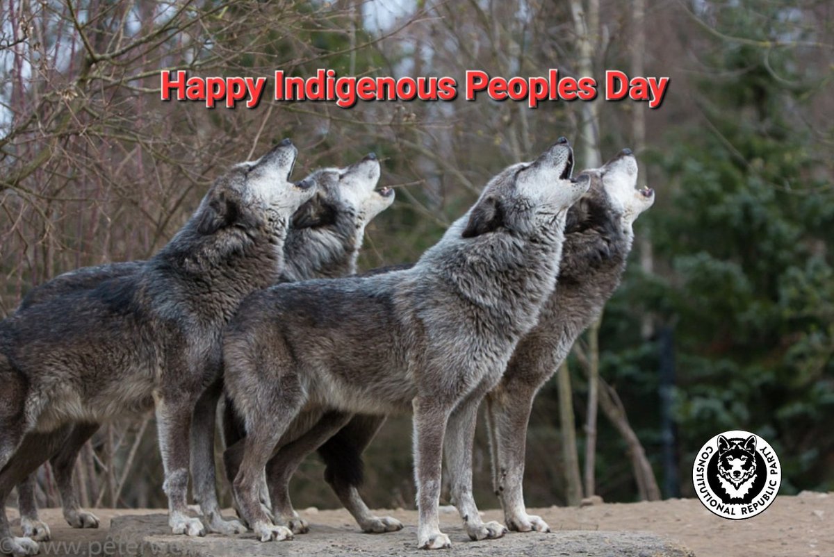 ConsRepUS's tweet photo. Today we recognize, honor and celebrate our Native American brothers and sisters here in Minnesota and the many proud Tribal Nations around these United States. 
#IndigenousPeoplesDay2023 
#WayoftheTimberwolf https://t.co/bZkrdRKMEu
