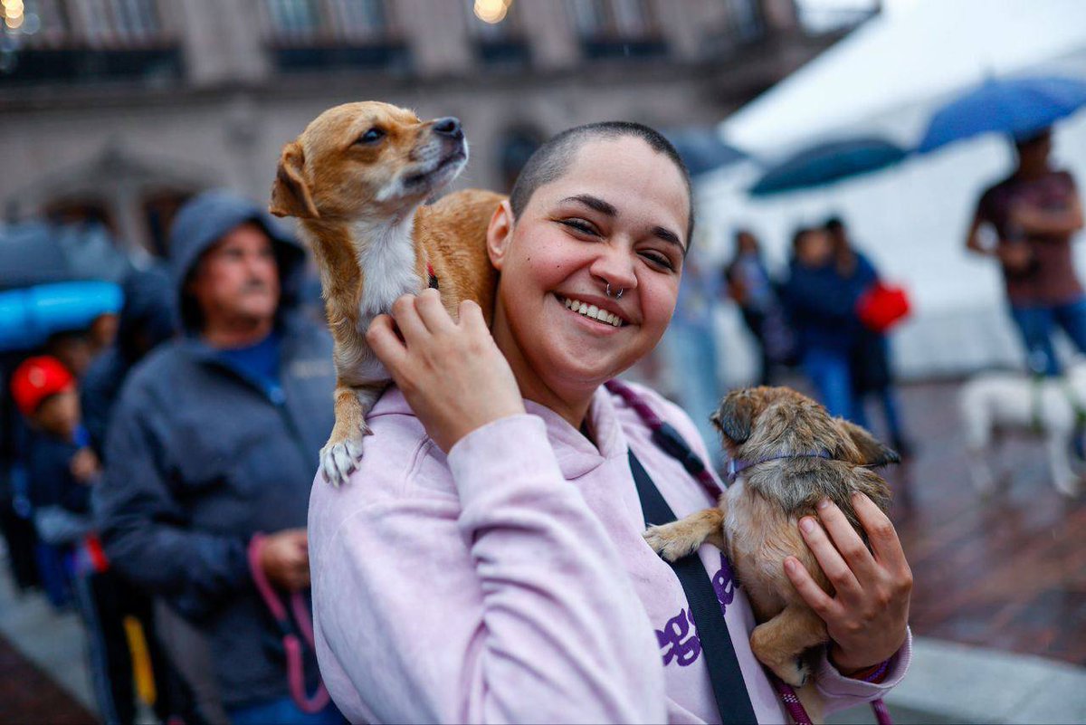 nuevoleon's tweet photo. Así vivimos la primera edición del #MacroPet, gracias a todas las familias que nos acompañaron en esta gran fiesta para todas nuestras mascotas. 🐶🐱✨💙 https://t.co/2b1GExfDhj