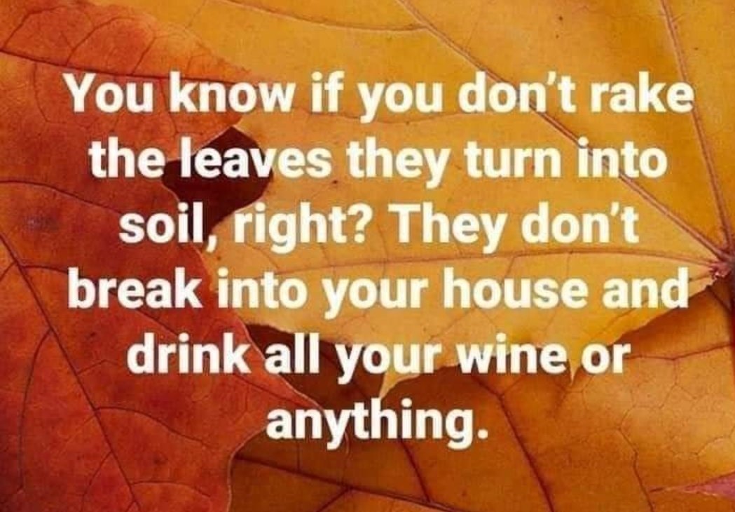 #LeaveTheLeaves