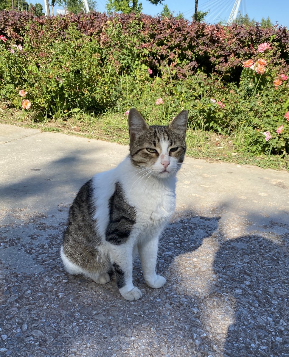 SİZ AYAKTA DURAMIYORSUNUZ!