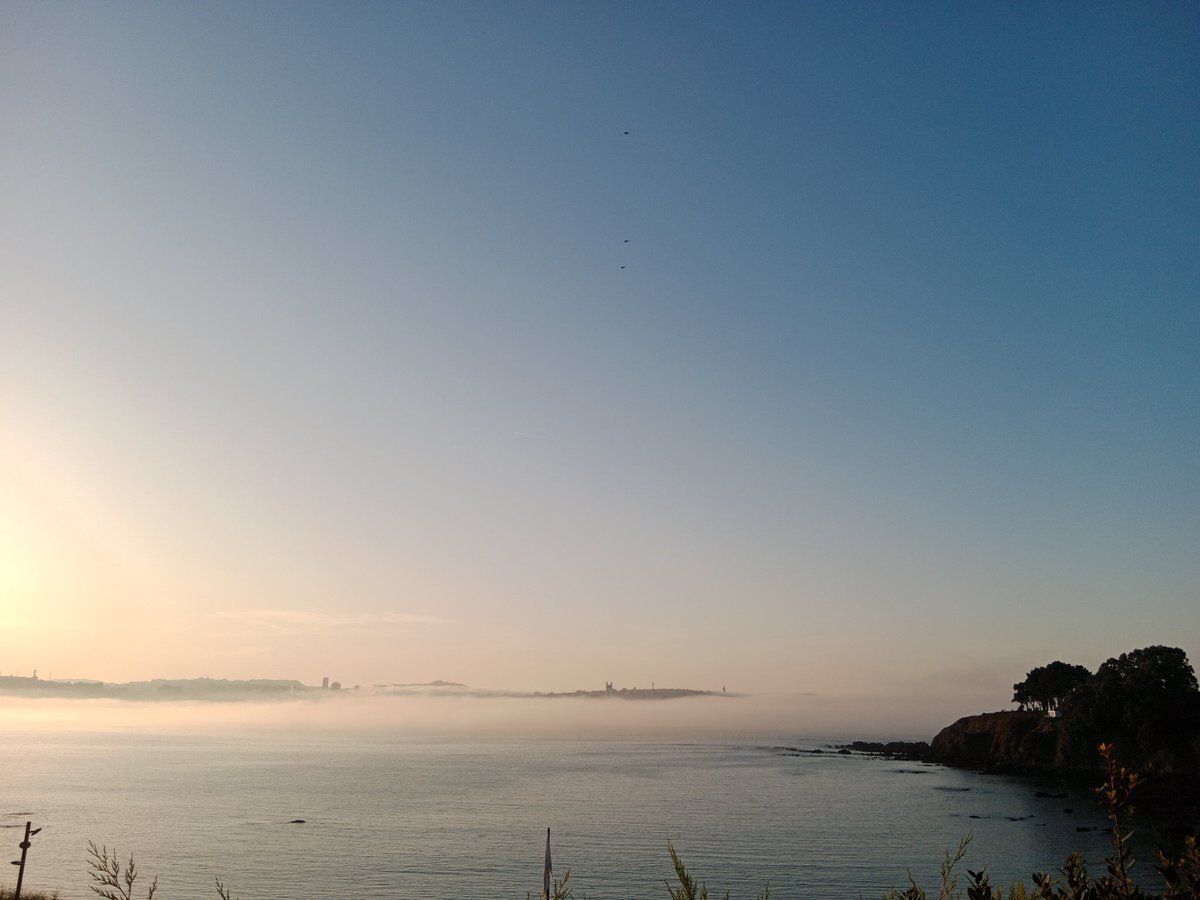 Niebla #ACoruña