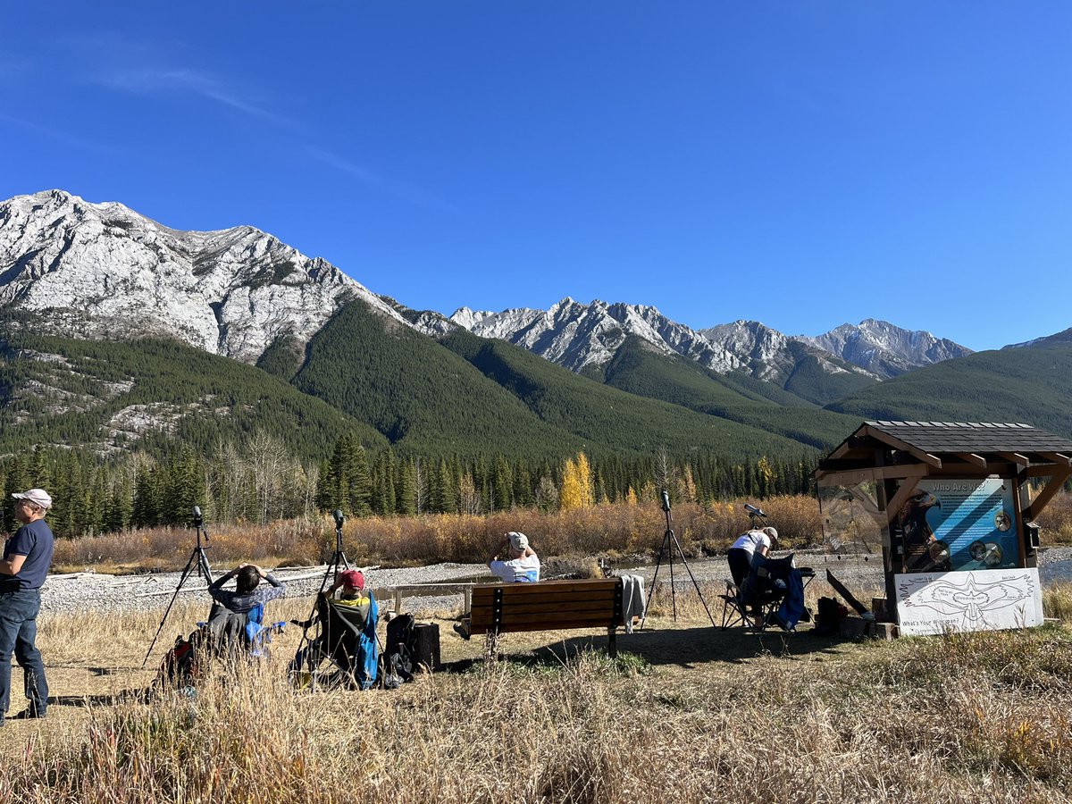 17C at 2pm 67 Golden Eagles so far today. Beautiful day. Lots of eyes in the sky #Eagles #Migration #Kananaskis
#RMERF #Alberta