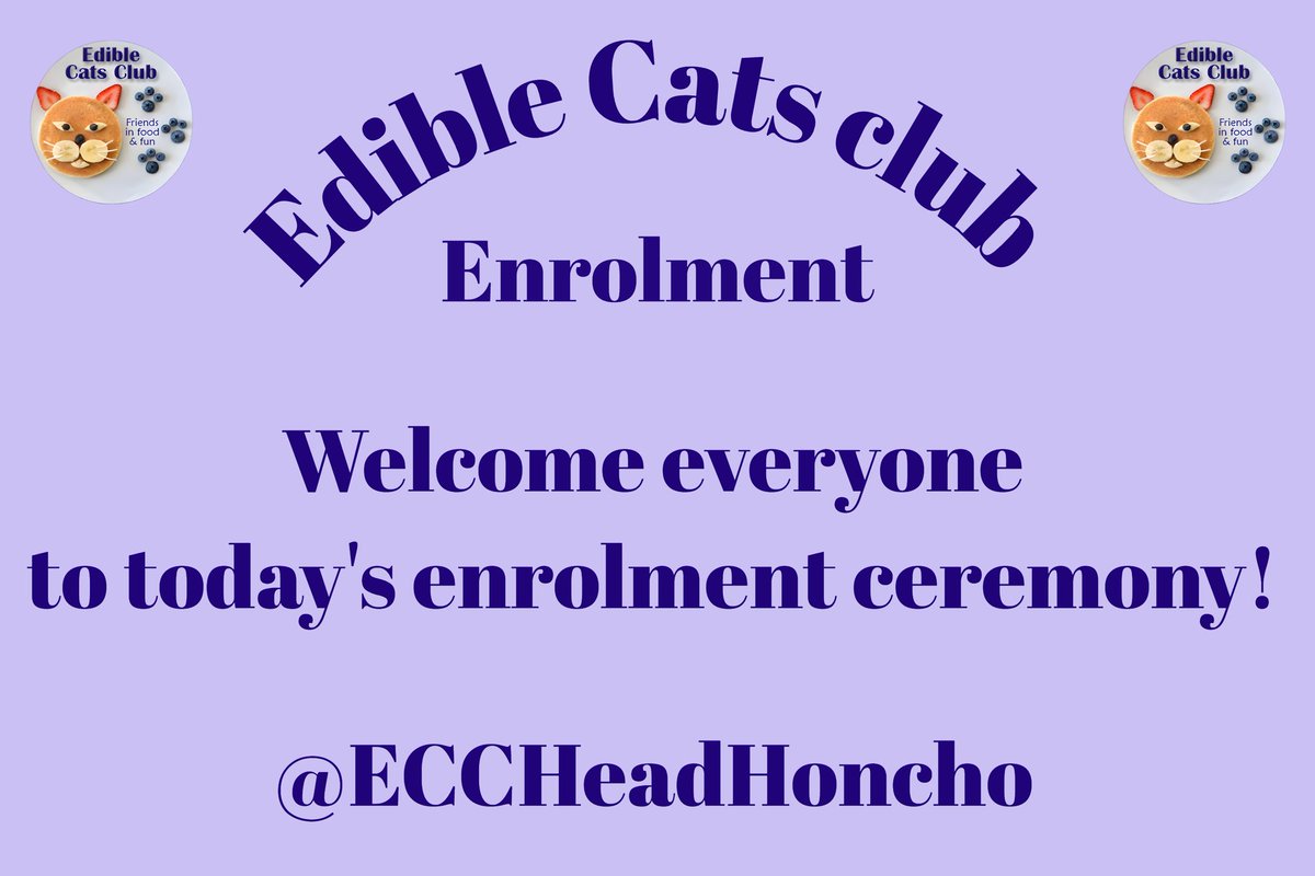 Angel Murphy & Angel 😇 Boo 🌈 🌉 tweet media