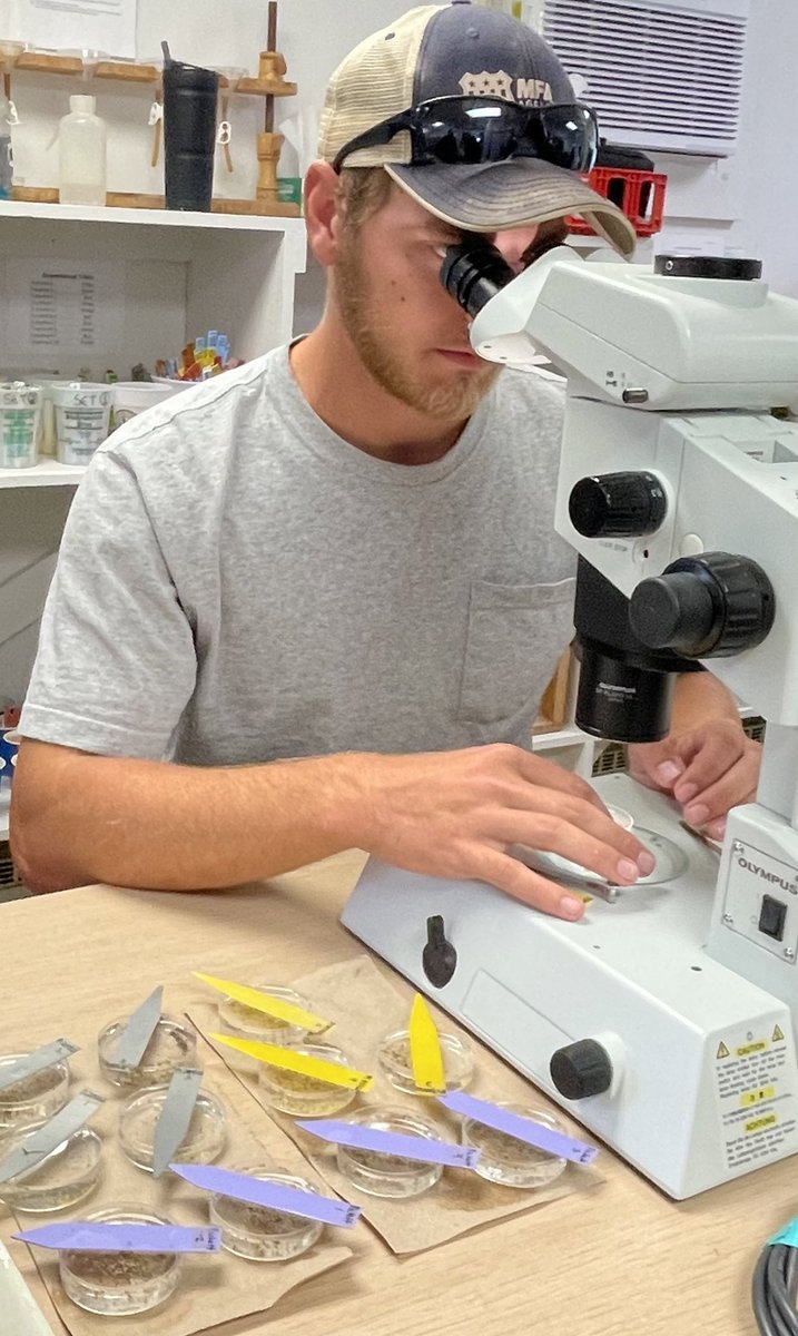 Mandy Bish tweet media