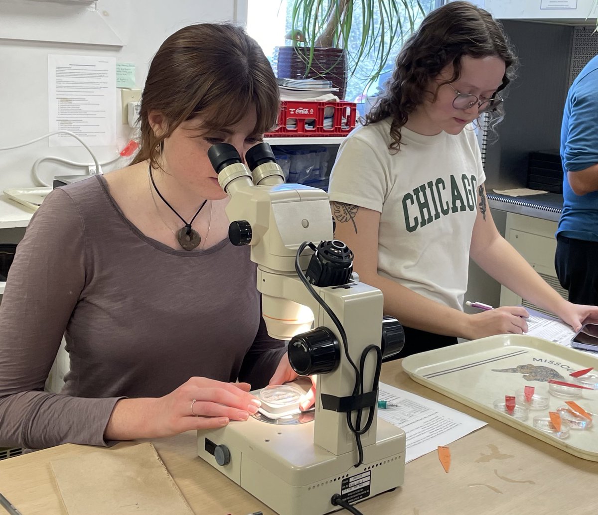 Mandy Bish tweet media