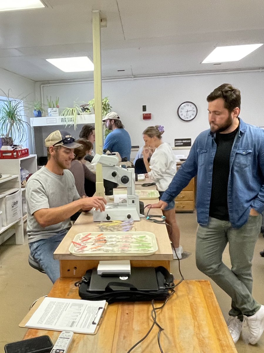 Mandy Bish tweet media