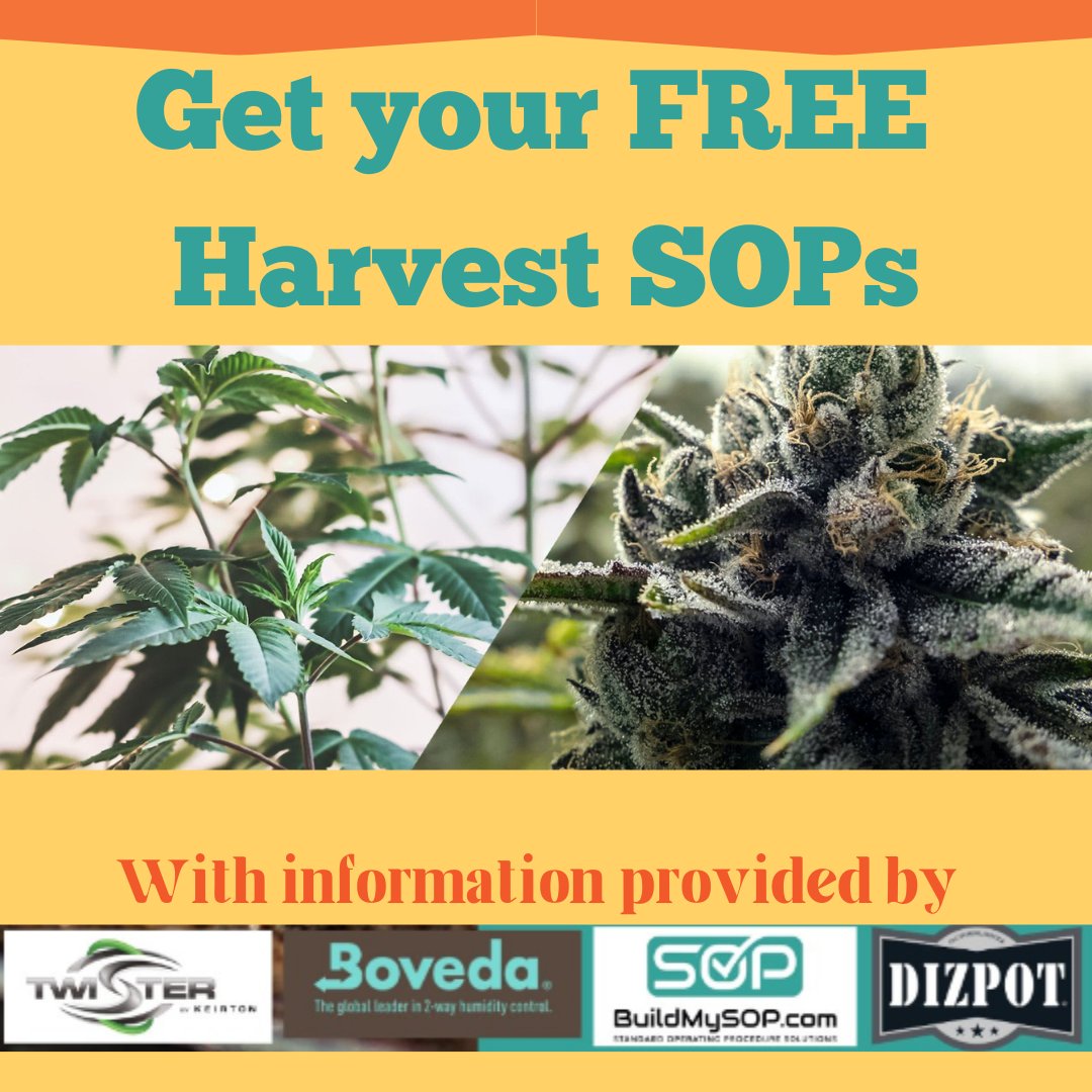 Our FREE Harvest SOPs are still available for a limited time! Tap the link &amp; we will email you your Harvest SOPs. You can also schedule your personal demo &amp; receive a set of Employee Position Descriptions for all verticals, as well as our Audit Checklist!
21416717.hs-sites.com/branded-sop