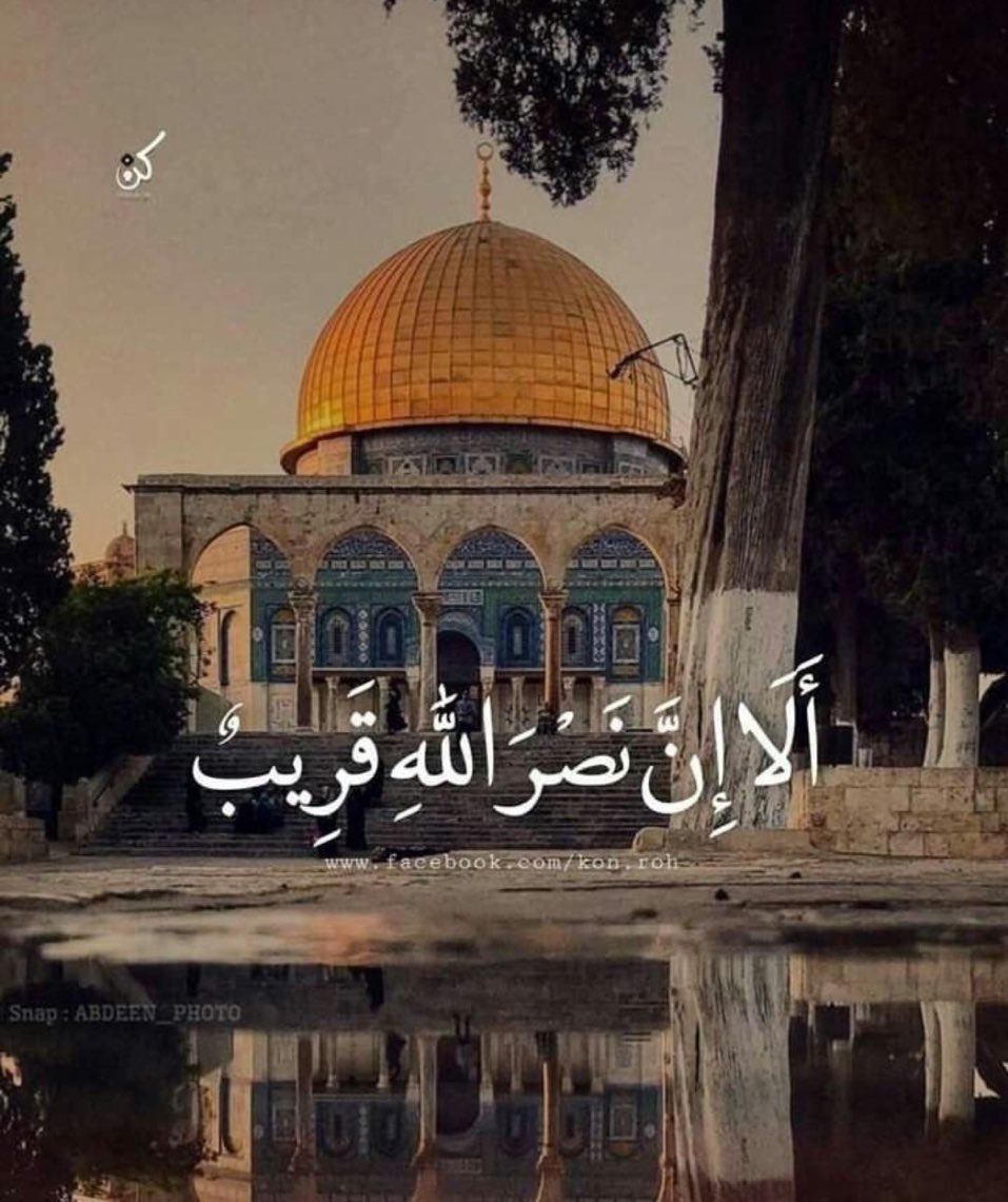 abokhaled4060's tweet photo. #غزة_تحت_القصف 

اللهم إنا استودعناك غزة ،أطفالها وشيوخها، شبابها، وبناتها، رجالها ونساءها، فاحفظهم يارب بحفظك ، https://t.co/K9C6TvfRgd