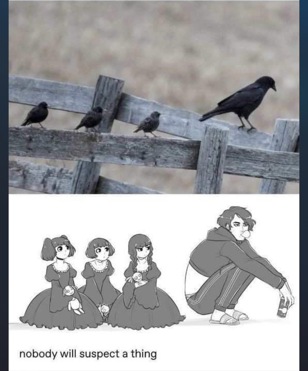 J_Xer0's tweet photo. #CrowsBeforeHoes https://t.co/ofU0WJ0NU7