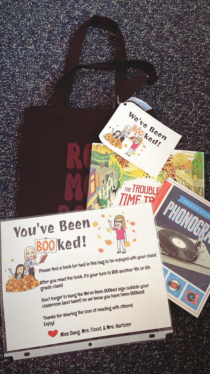 Ashley Findlay tweet media