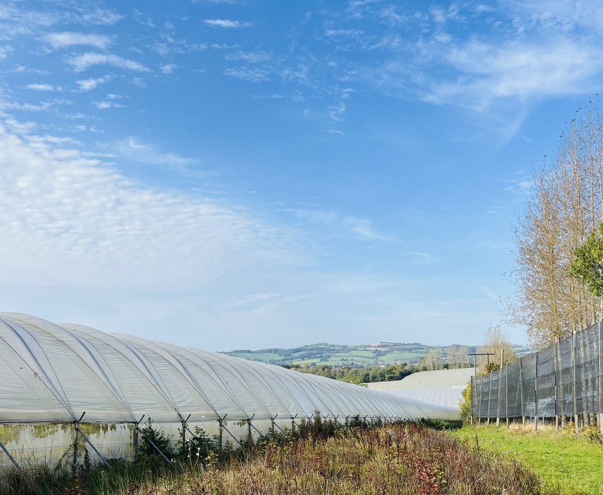 Anthony Snell tweet media