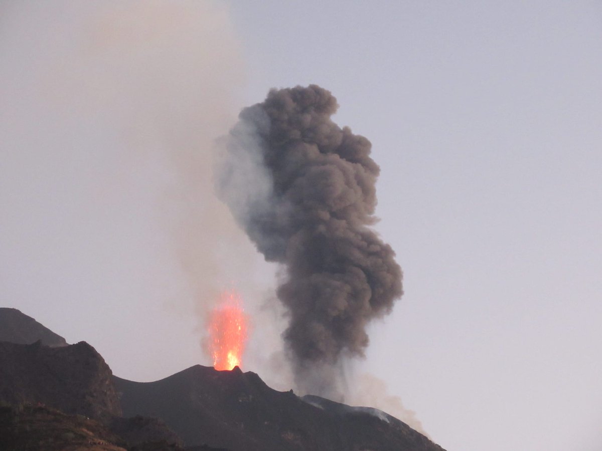 Piergiorgio tweet media