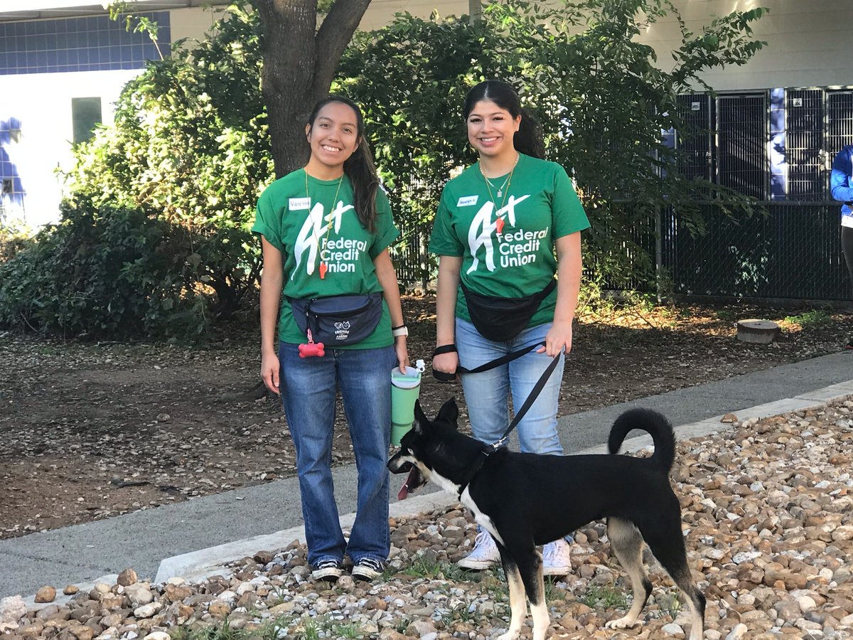 What a beautiful day to be spending with our furry friends for A+ Gives Day! Team A+ is volunteering with various animal centers across Central Texas to help out with a variety of tasks. 🐾💚 #aplusgivesday #aplusgives #aplusfcu #community #support #volunteer