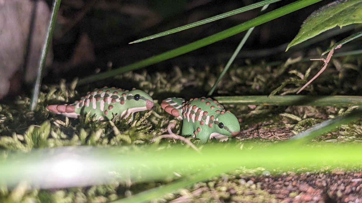 Primal_Creation's tweet photo. Ahhhhhhhhhhhhhhhhhhhh
All aboard the Art Train!
🚂🚃🚞🚃🚞🚃🚞🚞🚃🚃🚃🚃🚃🚃
@ArtofFabricious @_Archesuchus_ @anomallite @jimmadseni https://t.co/VrhHiAS4vv