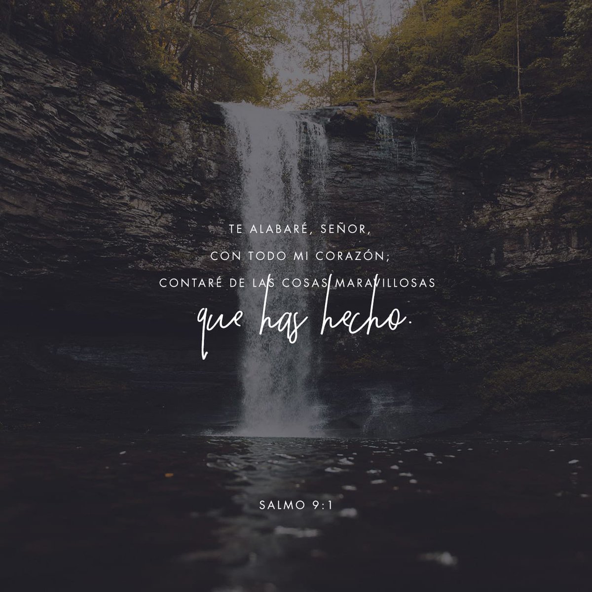 JDHumbertG1's tweet photo. Versículo del día: Salmo 9:1
En todo momento te alabaré, pues maravillosas cosas has realizado por nosotros... como las que veremos hoy en #JesusEnUNIFE181 https://t.co/KnrEO93zDH