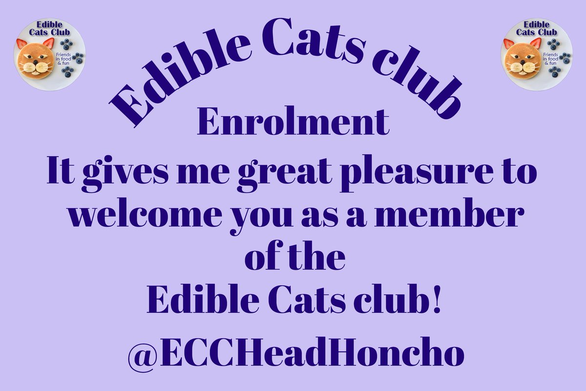 Angel Murphy & Angel 😇 Boo 🌈 🌉 tweet media