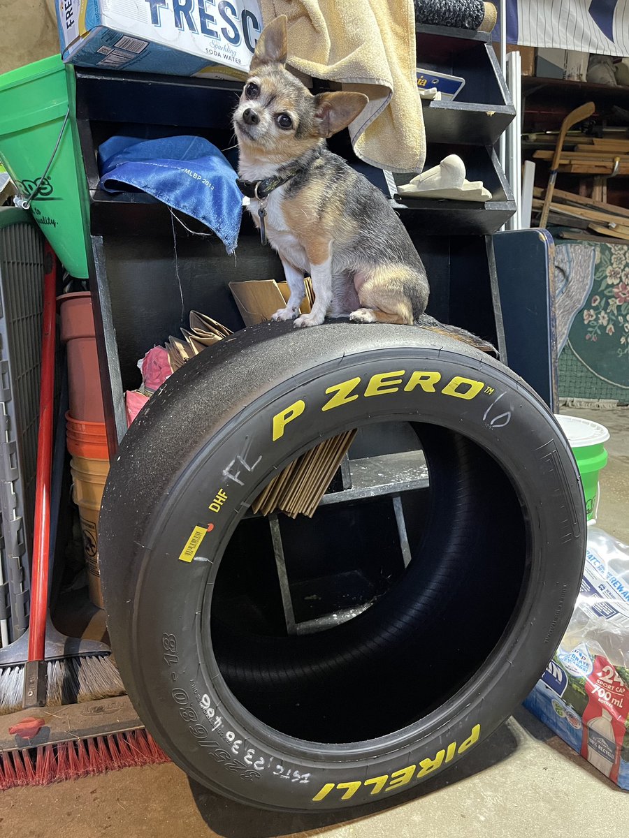 GasolineAly's tweet photo. This is what happens when your momma loves you more than anything in the world, but she also loves racing…
…and you’re tiny. 🥰🐶🛞♥️🏁
A.J., you’re such a good sport!
#TinyDogProblems @Pirelli @pirellisport https://t.co/ObNOAfSvPt