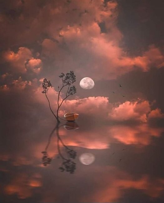 Nite Twitter World 🌛 
#Nite