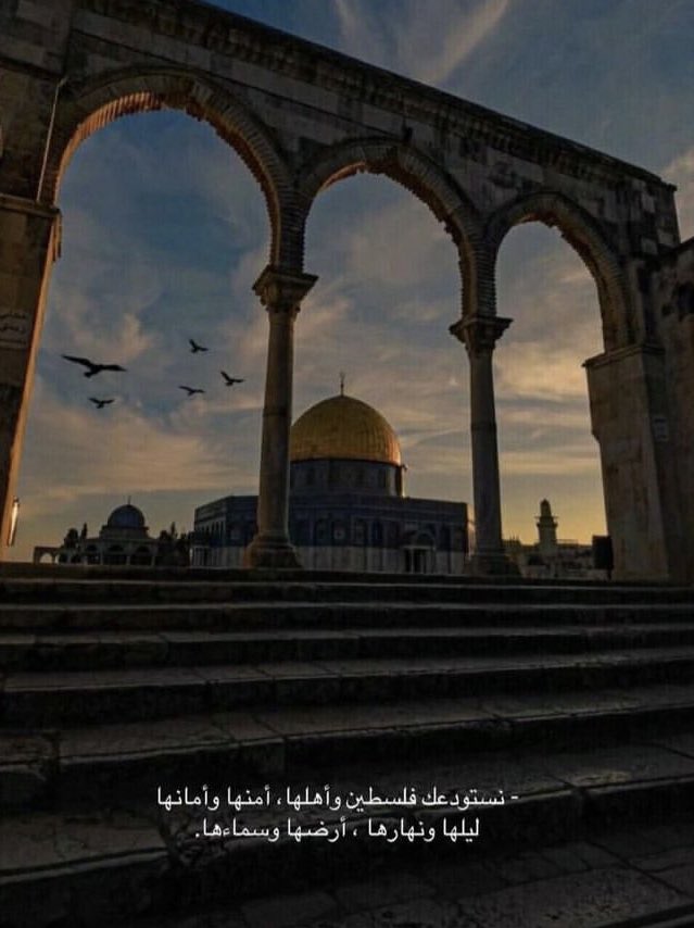 smra3316's tweet photo. يارب🇵🇸🤍 https://t.co/fQKxImYW4T
