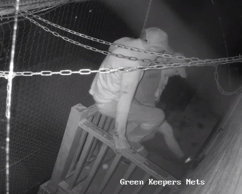 AmpthillTownCC's tweet image. Please be aware and check your security set up - last Friday morning at approx 2am - two intruders broke into our scorebox and groundsman store. Despite causing a lot of damage to the doors they stole nothing.
The Police are aware and CCTV footage has been shared.