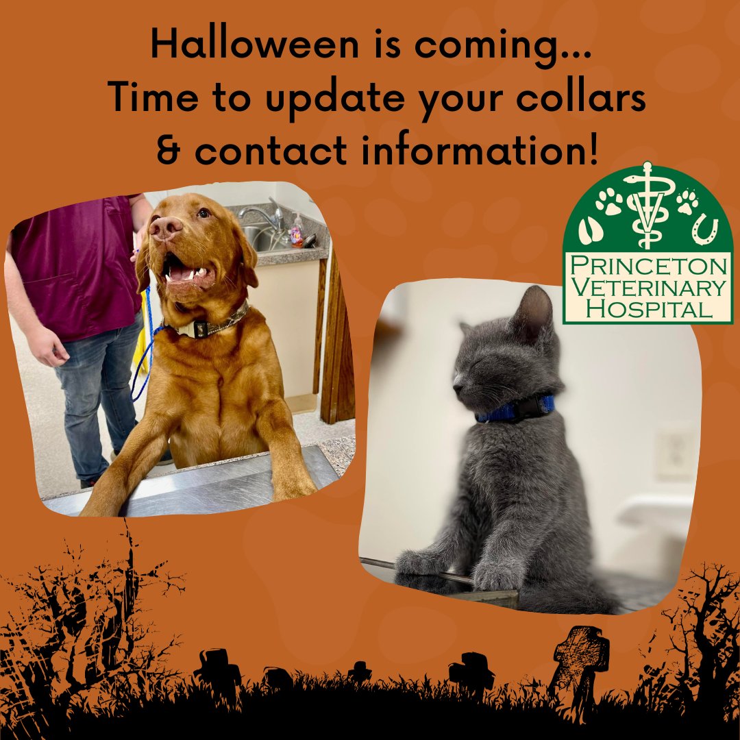 Princeton Veterinary Hospital tweet media