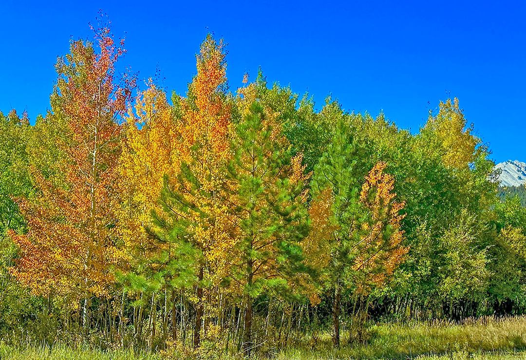 AURanches's tweet image. 𝗗𝗶𝘃𝗶𝗻𝗲 𝗟𝗼𝘃𝗲 𝗸𝗻𝗼𝘄𝘀 𝗻𝗼 𝗵𝗮𝘁𝗲; 𝗳𝗼𝗿 𝗵𝗮𝘁𝗲, 𝗼𝗿 𝘁𝗵𝗲 𝗵𝗮𝘁𝗲𝗿, 𝗶𝘀 𝗻𝗼𝘁𝗵𝗶𝗻𝗴: 𝗚𝗼𝗱 𝗻𝗲𝘃𝗲𝗿 𝗺𝗮𝗱𝗲 𝗶𝘁, 𝗮𝗻𝗱 𝗛𝗲 𝗺𝗮𝗱𝗲 𝗮𝗹𝗹 𝘁𝗵𝗮𝘁 𝘄𝗮𝘀 𝗺𝗮𝗱𝗲.
– Miscellaneous Writings 122:27–29

#AURanches #ChristianScience #ElevatedThought