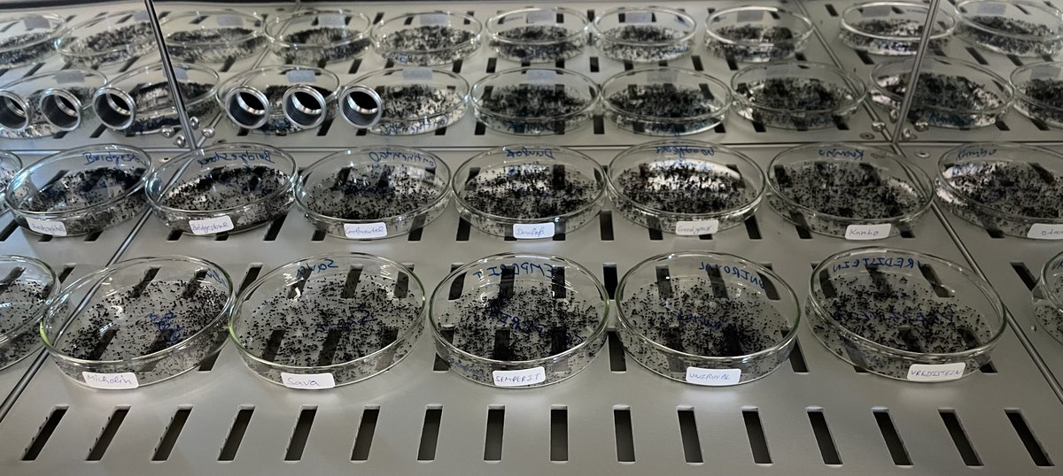 Vaibhav Budhiraja (@vaibhavplast) on Twitter photo I had an amazing six months working with Prof. Jes Vollertsen and his dynamic research group during my secondment at @BUILDaau . I worked on the quantitative assessment of leachates from the accelerated weathering of tire wear particles from ten commercial brands.
<a href="/LimnoPlast/">LimnoPlast</a> I had an amazing six months working with Prof. Jes Vollertsen and his dynamic research group during my secondment at @BUILDaau . I worked on the quantitative assessment of leachates from the accelerated weathering of tire wear particles from ten commercial brands.
<a href="/LimnoPlast/">LimnoPlast</a>