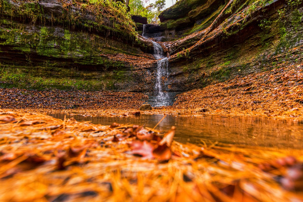 Explore Menomonie tweet media