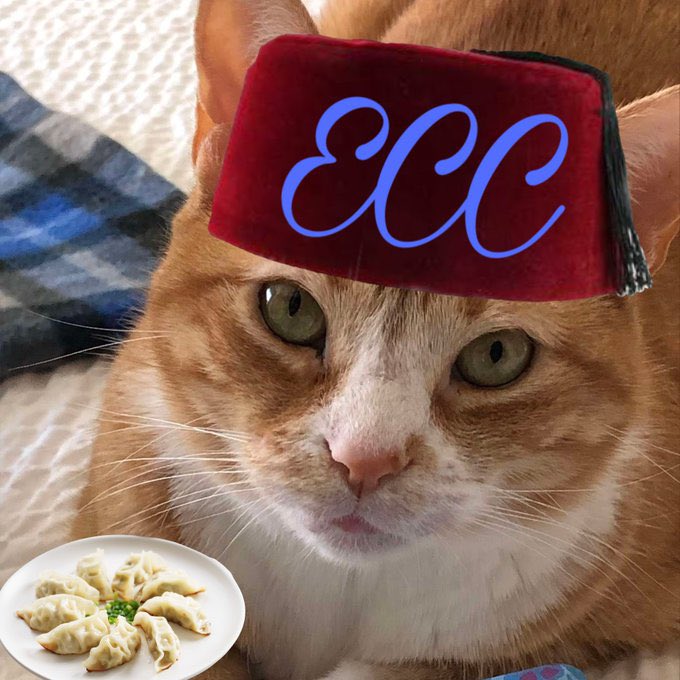 Sheri👩🏻Dixie🐈Angel Molly🌈🐈‍⬛Paulina🐻‍❄️ tweet media